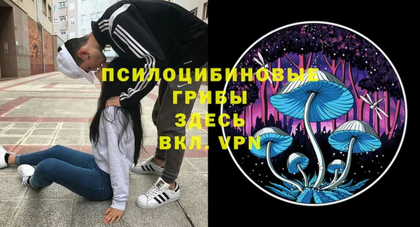 прущая мука Армянск