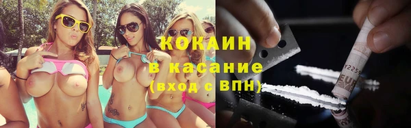 ПСИЛОЦИБИНОВЫЕ ГРИБЫ Новозыбков