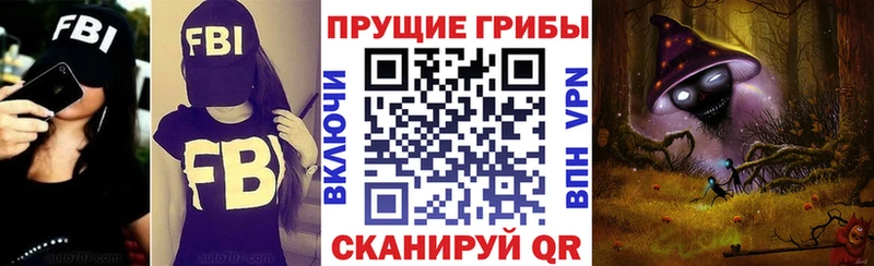 Галлюциногенные грибы Psilocybine cubensis  сколько стоит  МЕГА ONION  Мытищи 